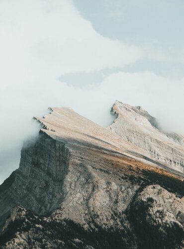 الرئيسية Service 3